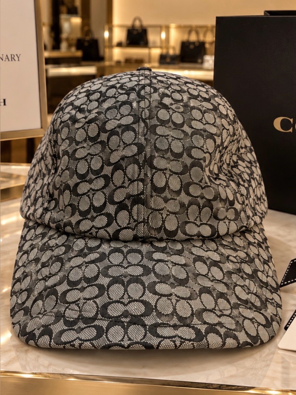 Coach unisex Cap in Charcoal and Light Gray